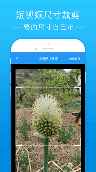 特立尼达和多巴哥新总理宣誓就任